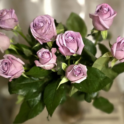 Photo #13867660