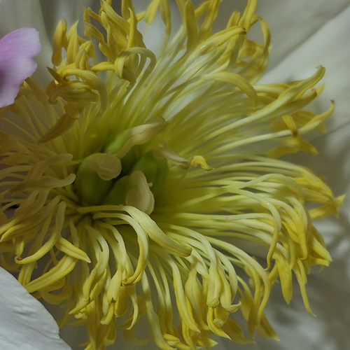 Photo #13867719