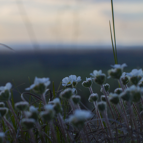 Photo #13867796