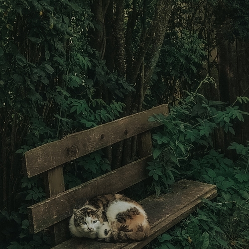 Photo #13867864