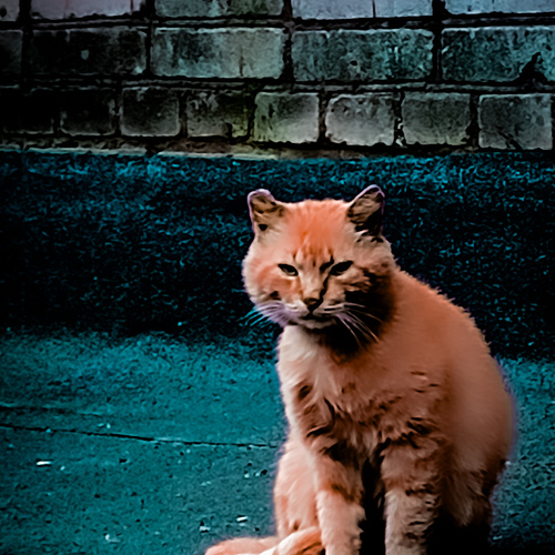 Photo #13867866