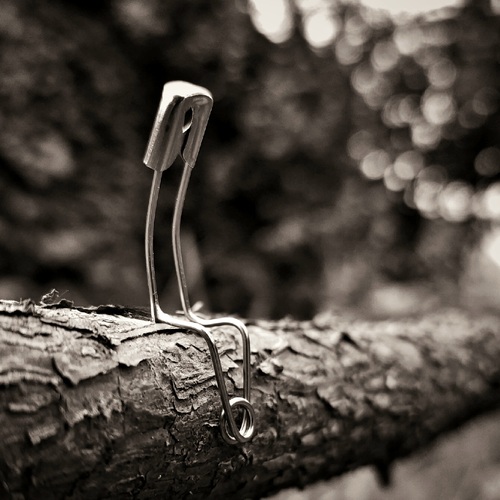 Photo #13867941