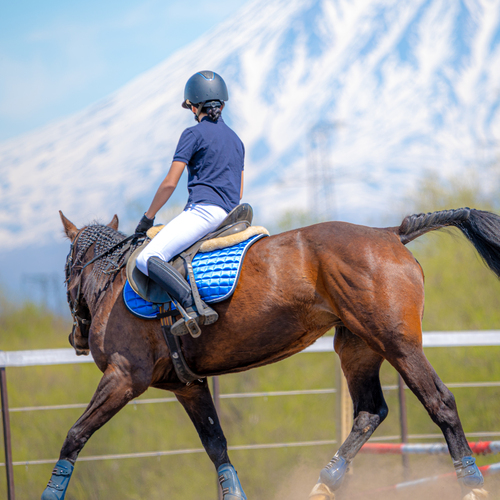 Photo #13867960