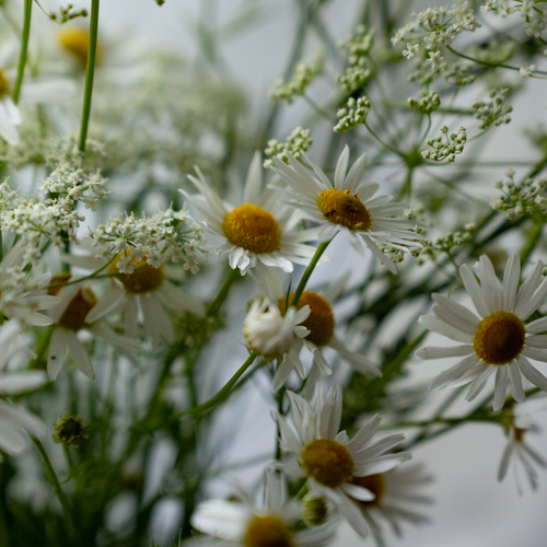 Photo #13867969