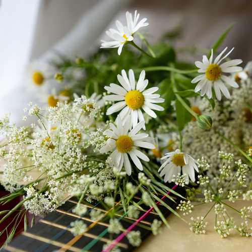Photo #13867976