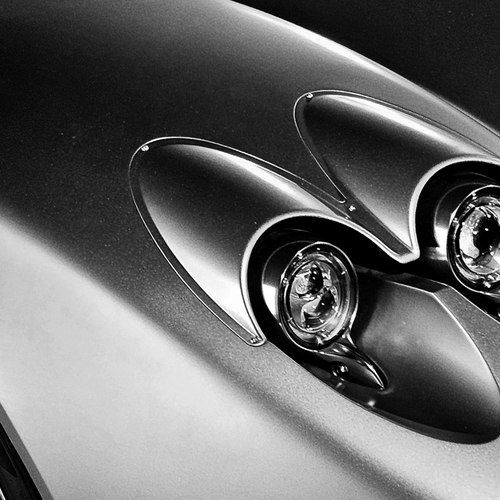 Eyes of the beast