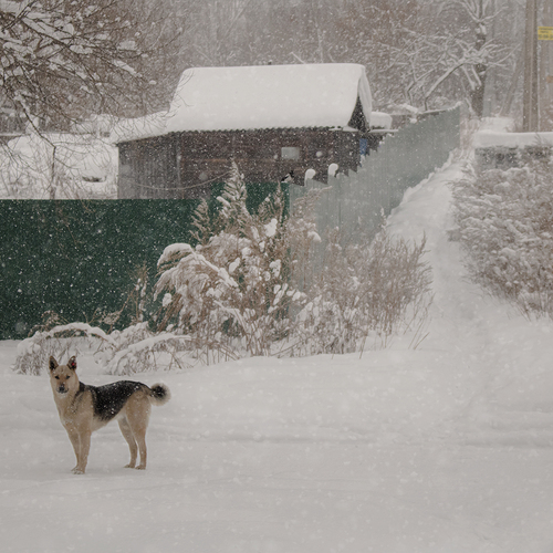 Photo #13868067