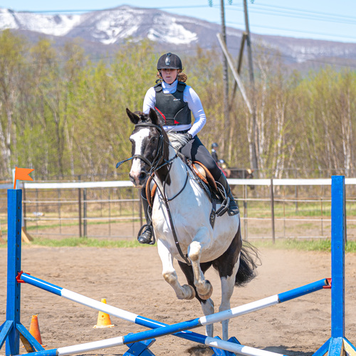 Photo #13868219