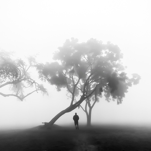 Monochrome stillness