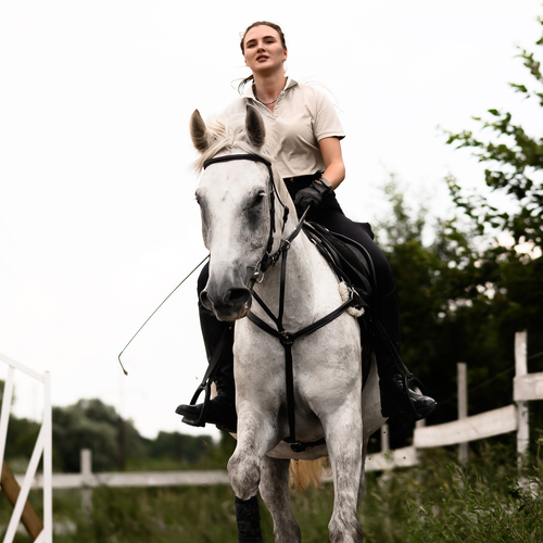 Photo #13868502