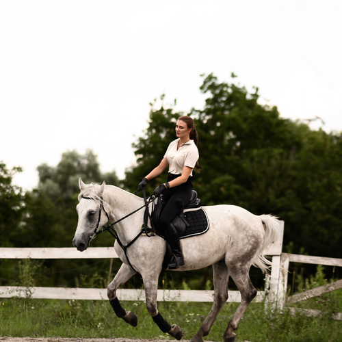 Photo #13868503