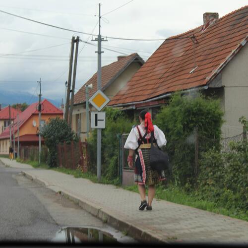 Photo #13868510