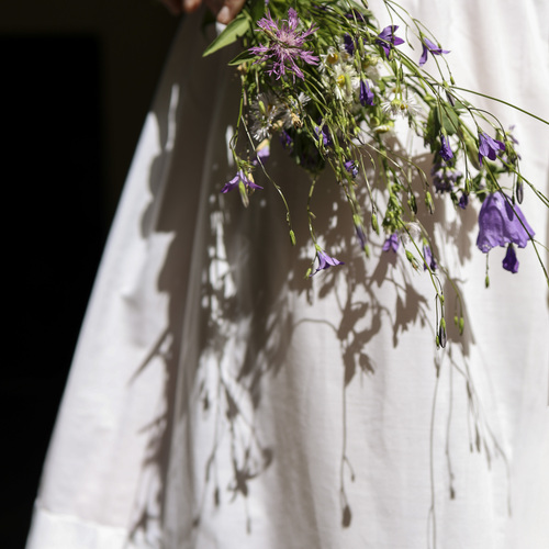 Photo #13868511