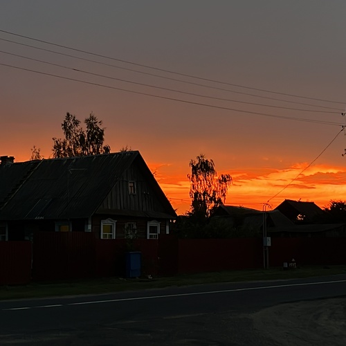 Photo #13868572