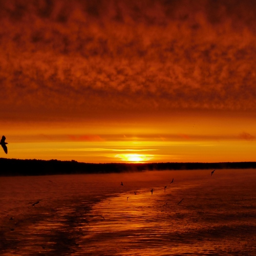 Photo #13868626