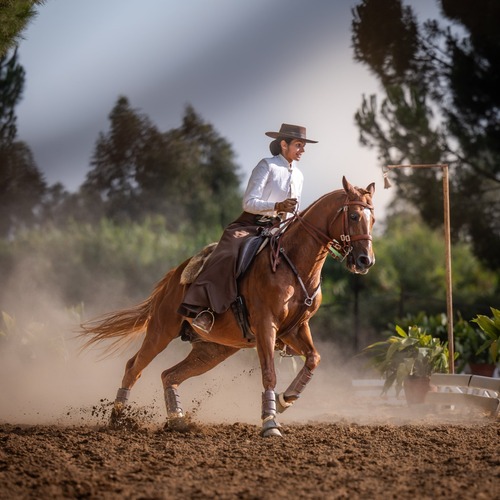 Photo #13868646