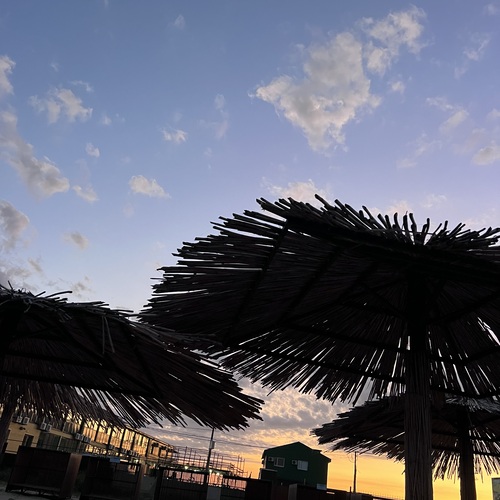 Photo #13868681