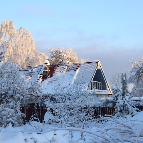 Photo #13868684