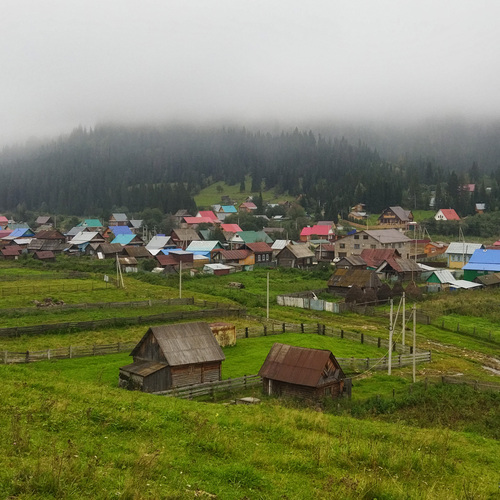 Photo #13868728