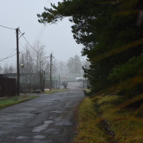 Photo #13868819