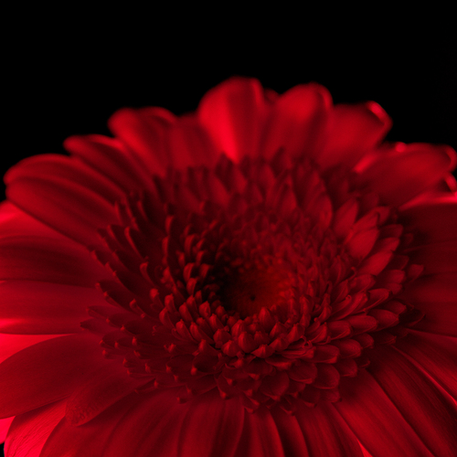 Photo #13868879
