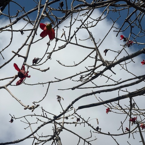 Photo #13868881