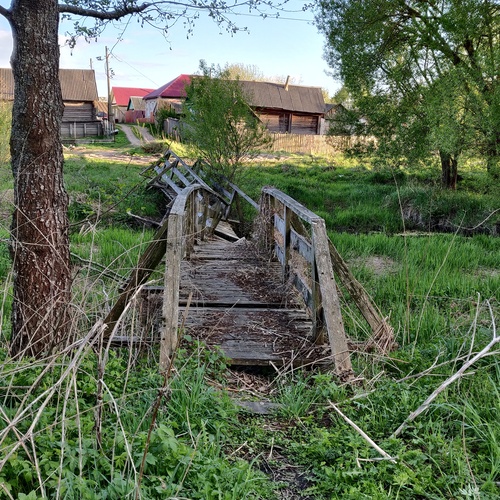 Photo #13868941