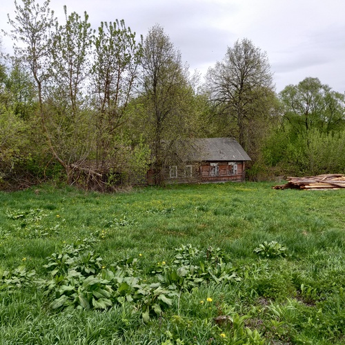 Photo #13868950