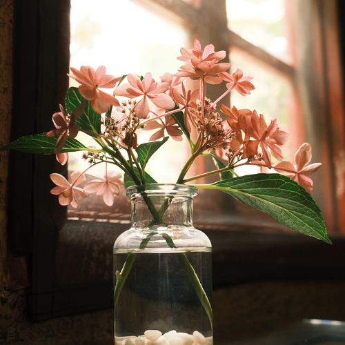 Photo #13868986