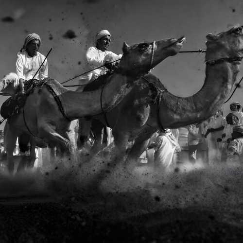 Desert Heritage and the Rush of Challenge