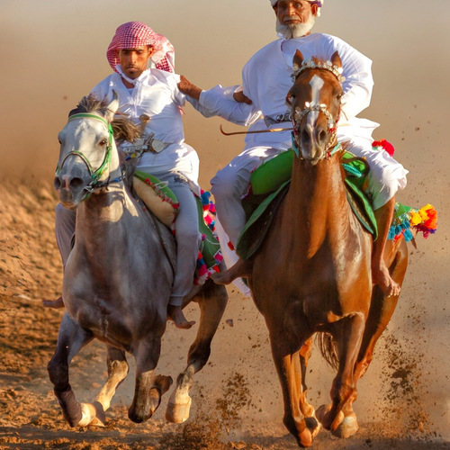 Knights of Authenticity and the Quest for Speed