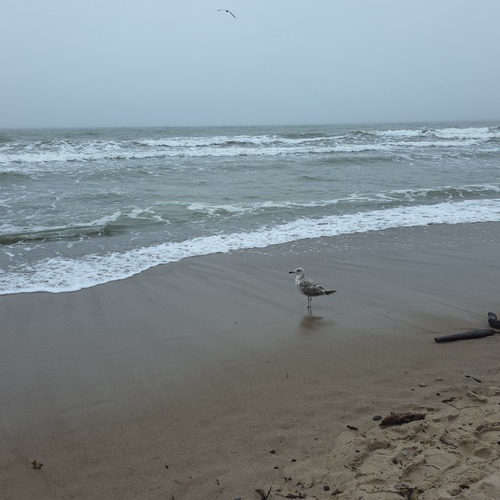 Photo #13868996