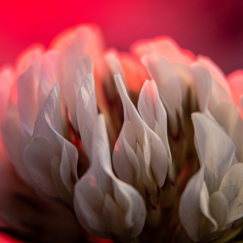 Photo #13869149