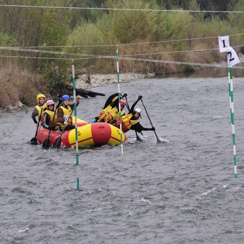 Photo #13869208