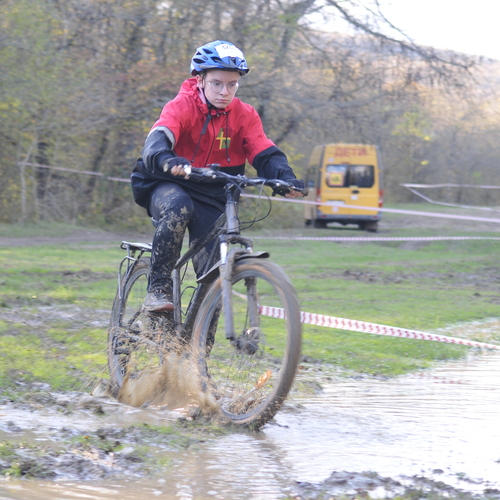 Photo #13869220
