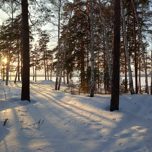 Photo #13869247