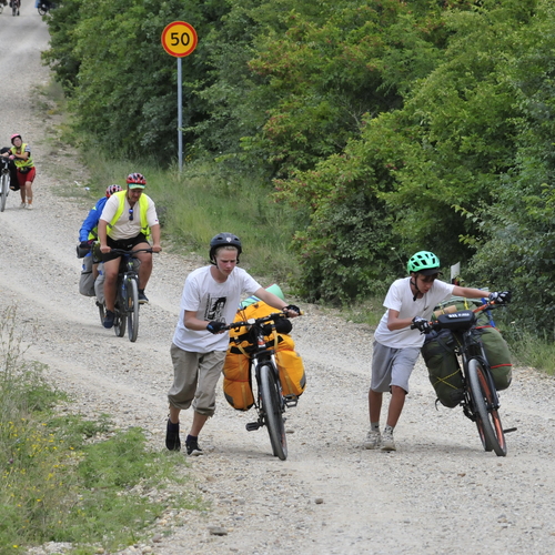 Photo #13869248