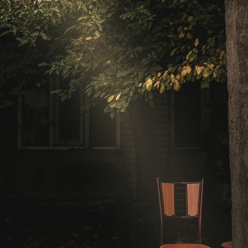 Photo #13869273