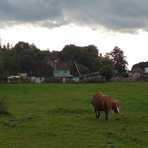 Photo #13869274