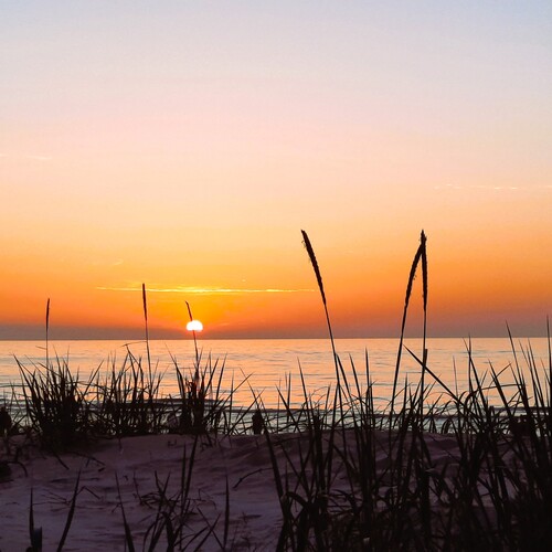 Photo #13869308