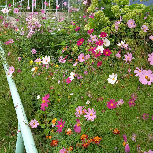 Photo #13869326