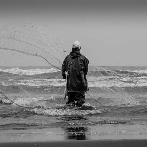 Photo #13869332
