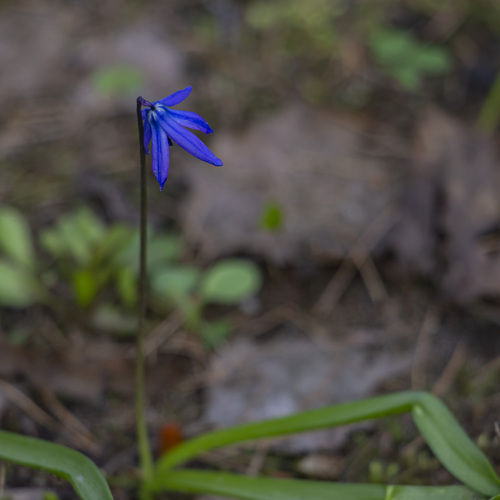 Photo #13869442