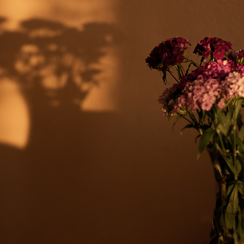 Photo #13869462