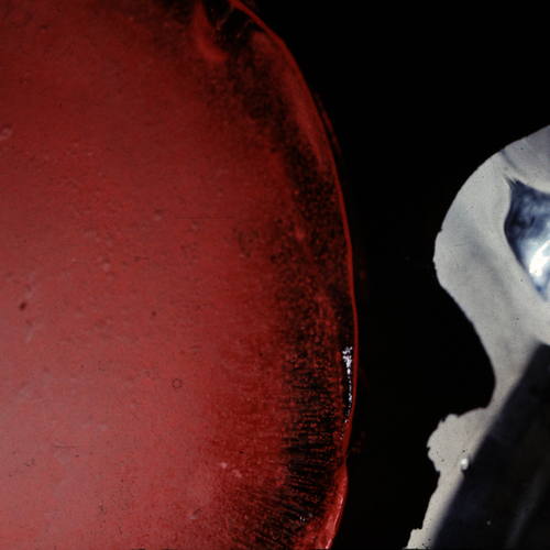 Photo #13869698