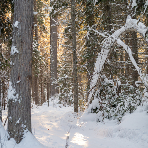 Photo #13869744