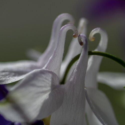 Photo #13869753