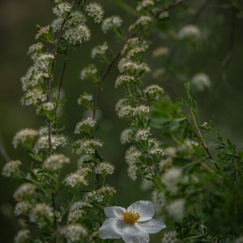 Photo #13869755