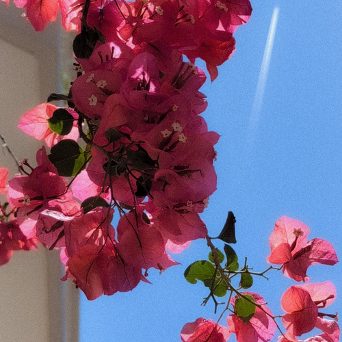 Photo #13869769