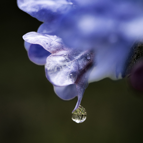 Photo #13869784
